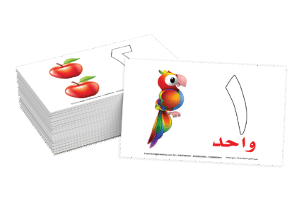 محتوى من المجموعة